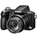 Photo : Sony Cyber-shot DSCH50 9.1 MP Digital Camera with 15x Optical Zoom with Super Steady Shot