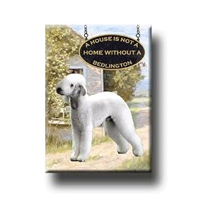 Bedlington Terrier A House Is Not A Home Magnet