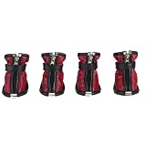 Casual Canine Sports Boots - Racer Red - Large