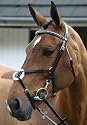 JW2 Deluxe Mexican Bridle with Continental Reins-Black - Full