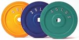 Bumper Plate 45 lb (pair)