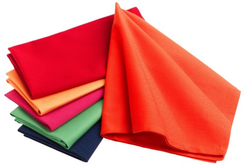 DII Primary Set of 6 Napkins