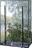 Details zu "Tomaten - Gew&auml;chshaus"