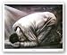 I Submit by Fred Mathews 20