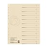 Herlitz 10840205 Trenn Blatt A4 chamois, 100er Packung