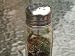 LIVE BRITISH SOLDIER LICHEN/MOSS MINI TERRARIUM SHAKER!
