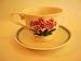 Portmeirion Botanic Garden Teacup & Saucer Collection Primula