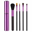 Japonesque Professional Touch Up Tube Set - Purple