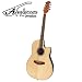 Applause by Ovation AE128-4 Acoustic Electric Guitar