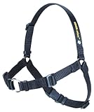SENSEation Harness