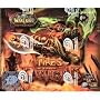 World of Warcraft Card Game - Fires of Outland Booster Box