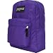 JANSPORT SuperBreak Backpack