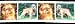 1 Yard 1 Brussels Griffons Dog Cotton Ribbon Trim