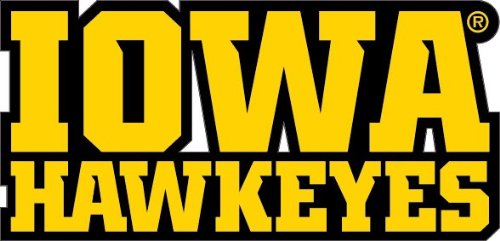 Iowa Hawkeyes 04 48x23 inch Large Fabric Wall Skin