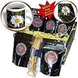 WhiteOak Photography Floral Prints - Flower of Simplicity A plain daisy - Coffee Gift Baskets - Coffee Gift Basket