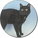 from Fridge Magnets Black Japanese Bobtail Cat Fridge Magnet Stocking Filler, Ref:AC-99FM