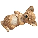 Sandicast Fawn Chihuahua Snoozer
