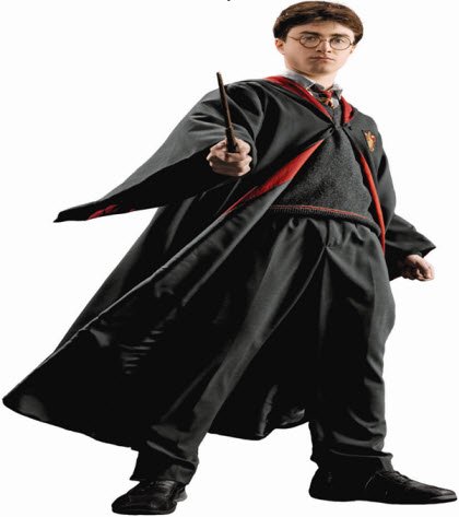 RoomMates RMK1548GM Harry Potter Peel and Stick Giant Wall Decal
