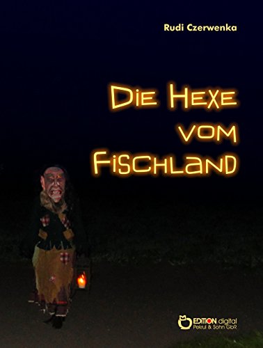 Die Hexe vom Fischland: Leben und Leiden der Tillsche Schellwegen (German Edition)