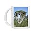 Photo Mugs of Jlmo-2660 Dragon Tree from Ardea Wildlife Pets