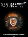 The Visible Universe: A Visual Journey Through Space and Back in Time. NASA - Hubble Space Telescope