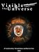 The Visible Universe: A Visual Journey Through Space and Back in Time. NASA - Hubble Space Telescope