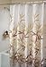 INTERDESIGN 36521 Anzu Shower Curtain 72