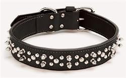 Harley Davidson&reg; Leather Spike Collar - 1 1/2" x 26"