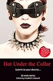 Hot under the collar : a collection of twenty erotic stories