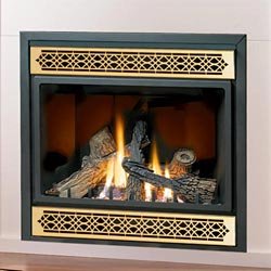 Napoleon Top/Rear Vent Gas Fireplace with Ornamental Insert-GD36