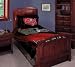 Tampa Bay Buccaneers Twin/Full Comforter with Two Pillow Shams