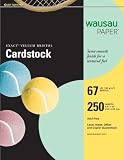 Wausau Vellum Bristol Cardstock, 67 lb, 8.5 x 11 Inches, Pastel Green, 250 Sheets (82358)