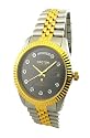 MENS CROTON STEEL AUTOMATIC TWO TONE DIAMOND DATE WATCH CA301138TTBD