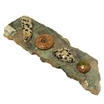 Chakra Plate 06 Moss Agate Slab Dalmatian Jasper Red Green Unakite Crystal Healing 4