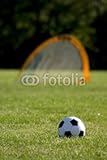 IMAGE OF Wallmonkeys Peel and Stick Wall Decals - Soccer Ball and Net - 48