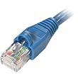 Steren 10' CAT6 Networking Cable