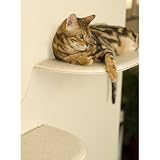 The Refined Feline Off-White Cat Clouds Shelf