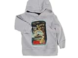 Little Boy's Polo Ralph Lauren Hoodie