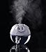 1 X Portable Mini Want Pig USB Ultrasonic Air Humidifier with Night Light (White)
