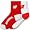 Wisconsin Badgers