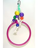 Ring Swing Too Bird Toy