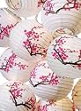 Japanese Chinese Hanging Paper Lantern Cherry Blossom