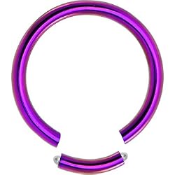 14 Gauge Purple Anodized Titanium Segment Ring