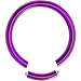 14 Gauge Purple Anodized Titanium Segment Ring