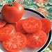 Legend F1 Hybrid Tomato 15 Seeds - Disease Resistant
