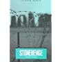 Stonehenge: v. 1: Making Space (Materializing Culture)