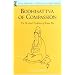 The Bodhisattva of Compassion (Shambhala Dragon Editions)