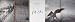 Search : Paul Auster's New York
