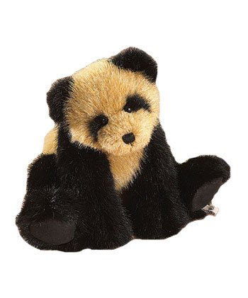 Boyds Bears Andy Pandy Panda Bear 2008 Introduction 500075