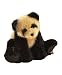 Boyds Bears Andy Pandy Panda Bear 2008 Introduction 500075
